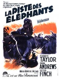 Jaquette du film La Piste des éléphants