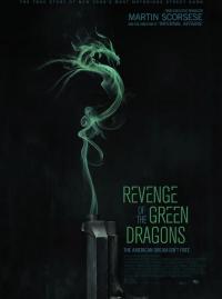 Jaquette du film La Revanche des Dragons verts