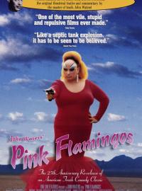 Jaquette du film Pink Flamingos
