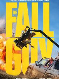 Jaquette du film The Fall Guy