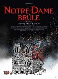 Jaquette du film Notre-Dame brûle