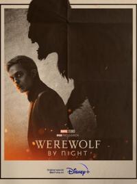Jaquette du film Werewolf by Night